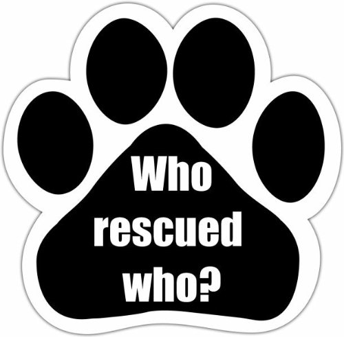 Who Rescued Who? Car Magnet With Unique Paw Shaped Design Measures 5.2 by 5.2 Inches Covered In High Quality UV Gloss For Weather Protection