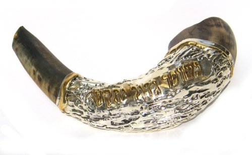 14 Sterling Silver Plated Rams Horn Shofar with Gold , made in Israel