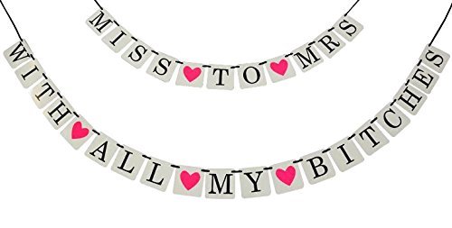 2-in-1 Miss To Mrs Classy & Sassy Hen Party Banner by Sterling James Co.