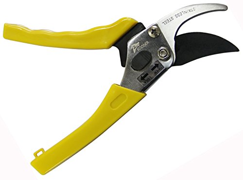 KOODER Pruning Shears?Hand Pruners?Gardening Scissors?Garden Clippers?Tree Trimmers? Secateurs?Flower Scissors?Suitable To Use In Gardens,Courtyards,Orchards,Farms,Woods,Bonsai and Much More