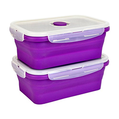 DII Silicone Collapsible, Airtight Food Storage Containers, Dishwasher & Microwave Safe, BPA Free, Snap On Lid, Set of 2, Purple - Large