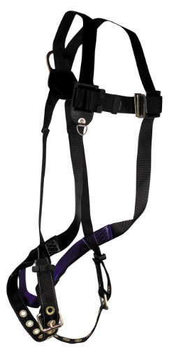 FallTech 7007 FT Basic Full Body Harness with 1 D-Ring and Mating Buckle Leg Straps, Universal Fit