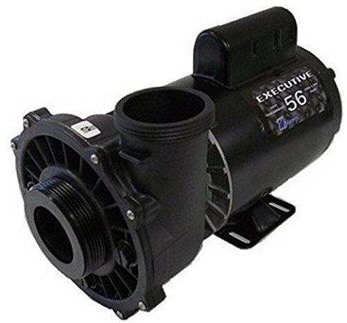 5 hp 230V 2-Speed Waterway Spa Pump Side Discharge 2 1/2x2 Executive 56