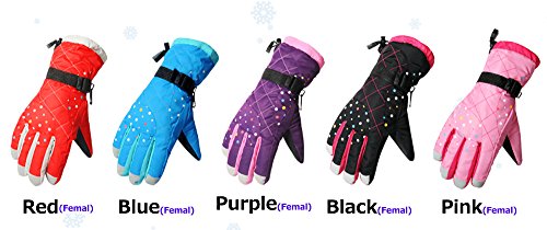 Waterfly® Fashion Women's Femal Warm Waterproof Winter Outdoor Glove Cycling Gloves Biking Gloves Snowmobile Snowboard Ski Gloves Athletic Gloves Mittens