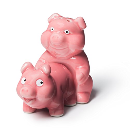 BigMouth Inc Naughty Pigs Salt and Pepper Shaker Set