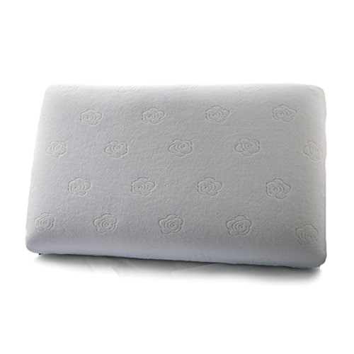 LoveHome Memory Foam Bed Pillow - Removable Hypoallergenic Bamboo Cover--Standard