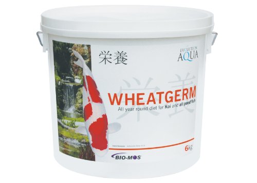 Evolution Aqua Wheatgerm 15kg Bag - 3-4mm size pellets