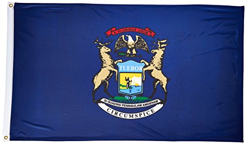 Online Stores Michigan Superknit Polyester Flag, 3 by 5-Feet