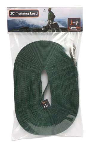 LupinePet Training Lead for Medium and Larger Dogs, 3/4-Inch Wide by 30-Feet Long, Green