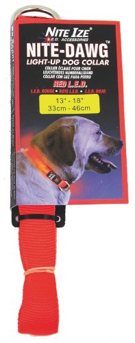 LED Nylon Night Safety Dog Collar by Nite Ize - Orange - Medium