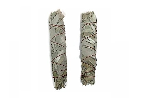 White Sage Smudge Stick Two Pack, 9