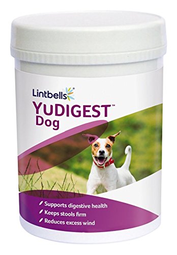 Lintbells YuDIGEST Dog Digestive Health Supplement for dogs prone to tummy troubles (300 tablets)