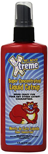 SynergyLabs Xtreme Super Concentrated Liquid Catnip Spray; 4 fl. oz.