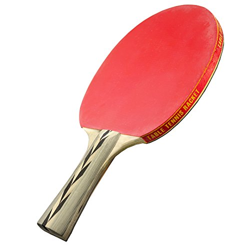 Sportly Table Tennis Accessories - Spintermediate Ping Pong Paddles - Light, Fast Competition Racket with Excellent Spin and Control - Ideal for Intermediate or Advanced Beginner Looking for Increased Performance and Speed - Single