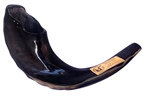 15 Kosher Black Rams Horn Polished Shofar by Peer Hastam® - Made in Israel + Anti Odor Spray