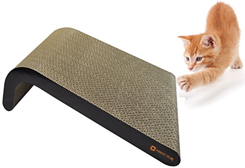 Purrfect Feline Rising Ramp Cat Stretch Scratcher, Modern Scratching Board + Free Catnip (17 x 11 x 1.5)