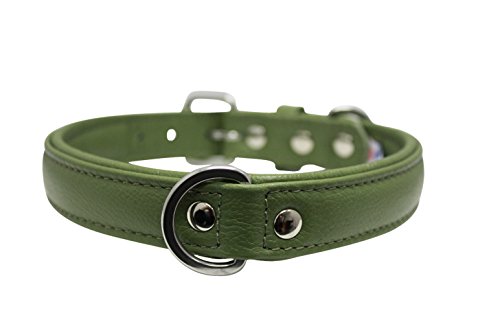 Leather Dog Collar, Padded, Double Ply, 22 x 1, Green, 100% Genuine Leather (Alpine) Boxer, Retriever, Pit bull Terrier