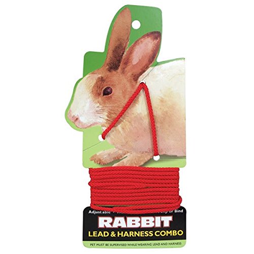 Coastal Pet Products C Nyl Rabbit Harness & Lead - Red