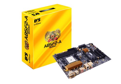 ECS Elitegroup ATX DDR3 1333 FM2 Motherboards A85F2-A Golden (1.0)
