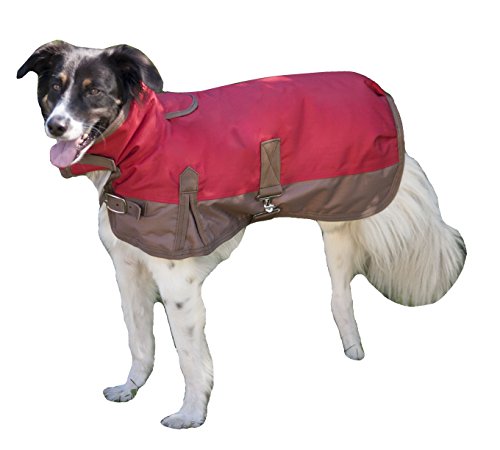 Fashion Pet Horse Blanket Waterproof Dog Coat, X-Large, Red