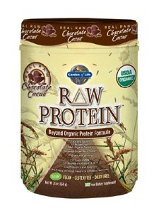 Garden of Life Raw Organic Protein Chocolate, 650 Gram (Chocolate, 28-Serving)