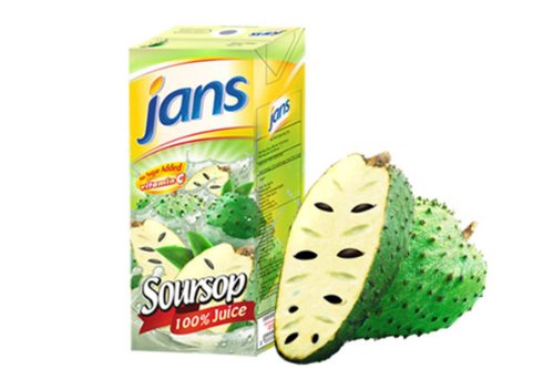 Jans Soursop Juice - Graviola Juice - 100% Soursop juice 250ml (Pack of 48)