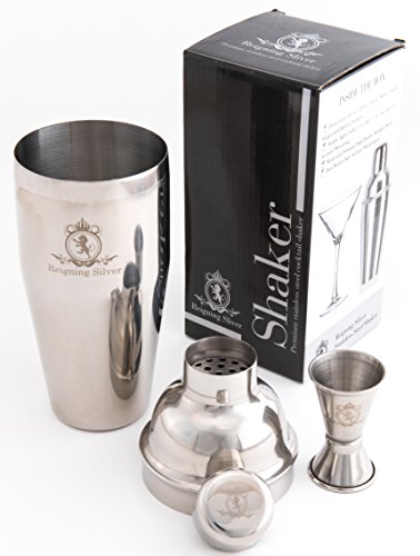Reigning Silver Premium Quality Professional/180 Recipes/Stainless Steel Martini & Cocktail Shaker Set/Built In Strainer & Jigger/At Home Bar Ware Se/Bartender Tool/Liquor Mixer, 24 oz, 3-Piece