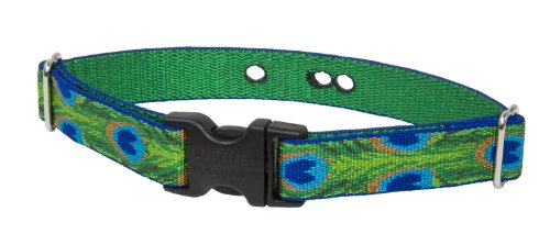 LupinePet 1-Inch Tail Feathers 19-31-Inch Containment Collar Strap for Large Dogs