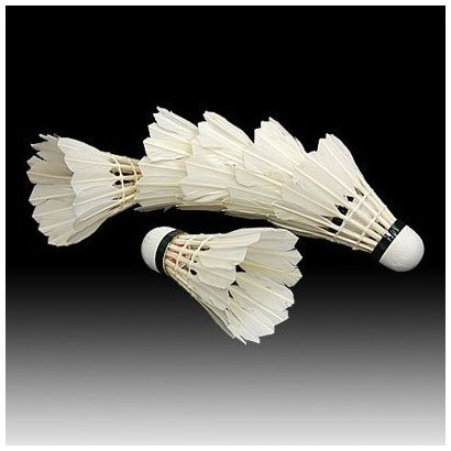 SODIAL(TM) 6PCS White Feather Shuttlecocks Badminton