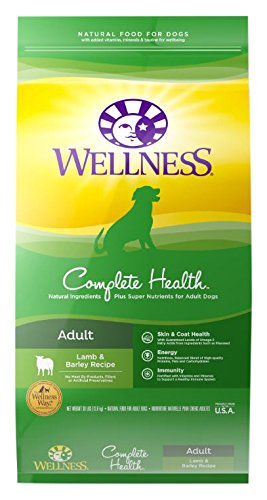 Wellness Complete Health Lamb & Barley Natural Dry Dog Food, 30-Pound Bag
