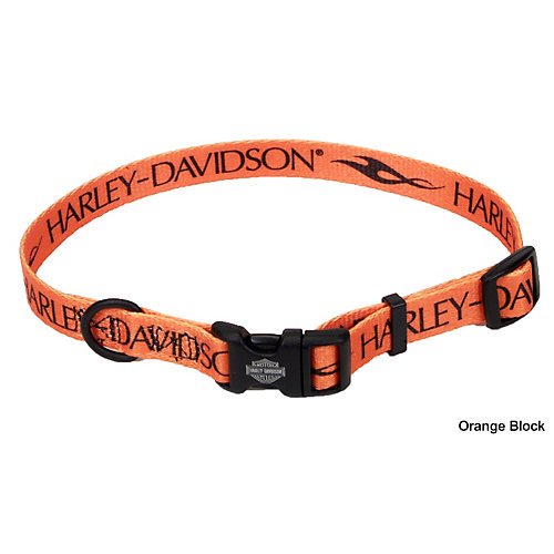 Harley Nylon Dog Collar
