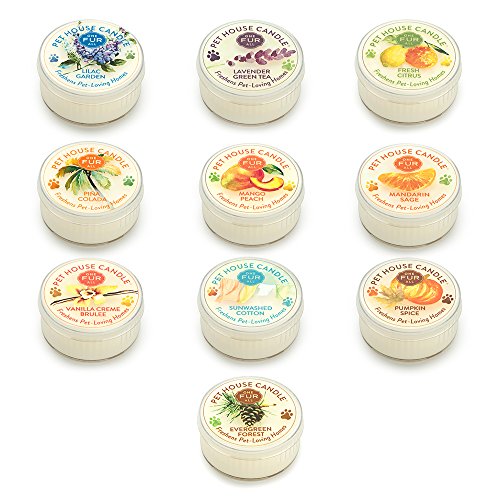 Pet House Mini Candle Sampler - 10 Pack of Top-selling Fragrances - Odor Neutralizing - 100% Natural SOY WAX - Paraffin Free - 10-12 Hour Burn Time - Made in the USA - Amazing animal lover gift