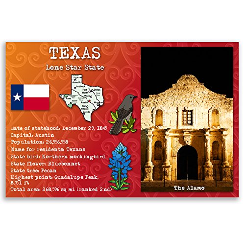 TEXAS STATE FACTS postcard set of 20 identical postcards. Post cards with TX and state symbols. Made in USA.