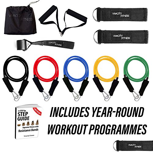 The Complete Resistance Band Workout Programme by Vivacity Fitness - Created by Personal Trainers - To Help You to Lose Weight- Tone - Build Muscle or Improve Flexibility.