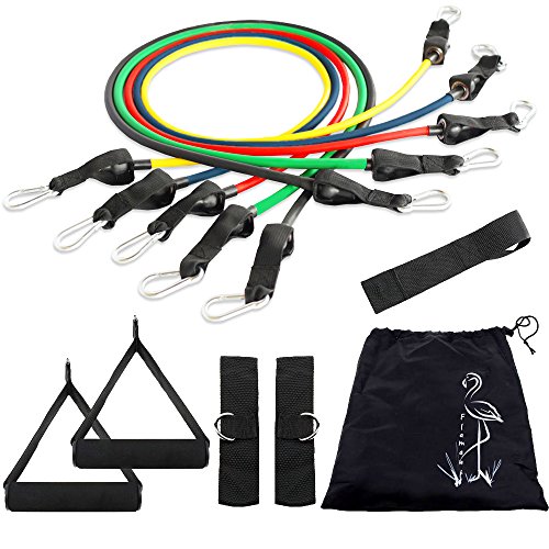 Resistance bands Kit - Best Heavy Workout for Legs and Knee - Connects to Your Door With A Door Anchor - Great Training for Pilates and Yoga Workouts - Awesome Exercises for Men and Women - No Hassle 1 Year Guarantee