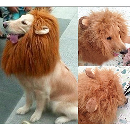 Wotefusi Pet Costume Lion Mane Wig Hair Clothes Festival Fancy Dress up with Ears