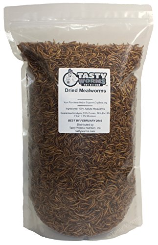 1 Lb Tasty Worms Freeze Dried Mealworms Approximately 16,000 Worms
