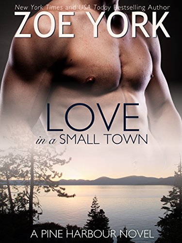 Love in a Small Town: The Soldier's Second Chance (Pine Harbour Book 1)
