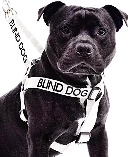 BLIND DOG White Color Coded Non-pull Dog Harness (No/Limited Sight) PREVENTS Accidents By Warning Others of Your Dog in Advance!