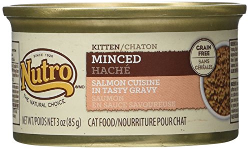 The Nutro Company Minced Kitten Salmon Entrée in Gravy, Pack of 24