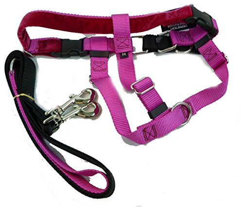 Freedom No Pull Harness and Leash Training Kit Raspberry Large