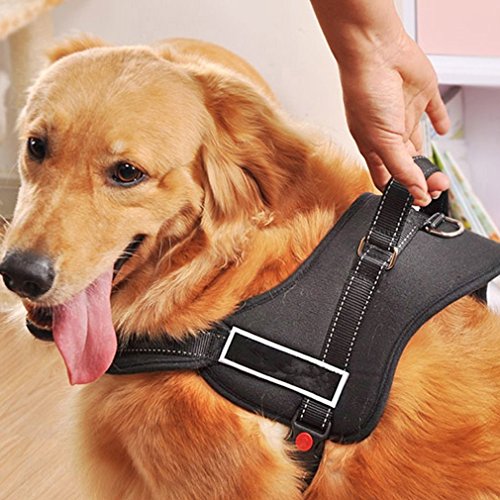 Ecoastal Dog Body Harness Padded Extra Chest Straps Heavy Duty with Handle Comfortable for Labrador, Golden Retriever Large Dogs