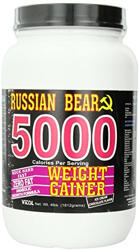 Vitol Russian Bear 5000, Ice Cream Chocolate 4-Pounds