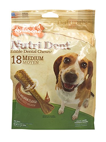 Nylabone Nutri Dent Complete Filet Mignon Flavored Dog Treat Bone