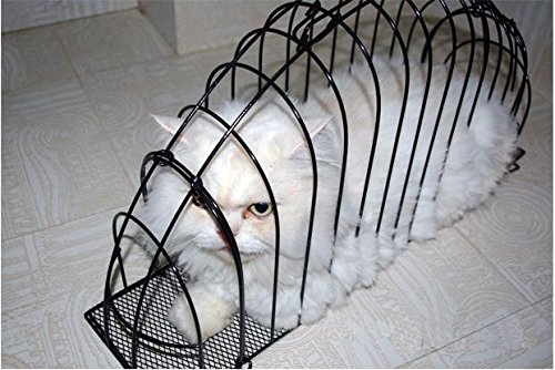 Double Door Cats Take a Shower Cage Cat Blowing Injection Anti Scratch Or Bite The Cat Cage Matt Wire Material