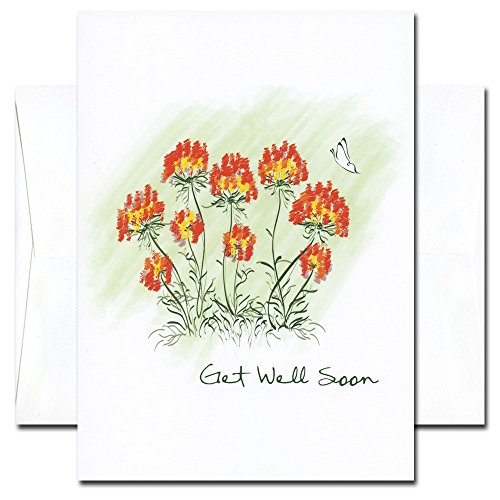Get Well Cards: Butterfly - box of 10 cards & envelopes
