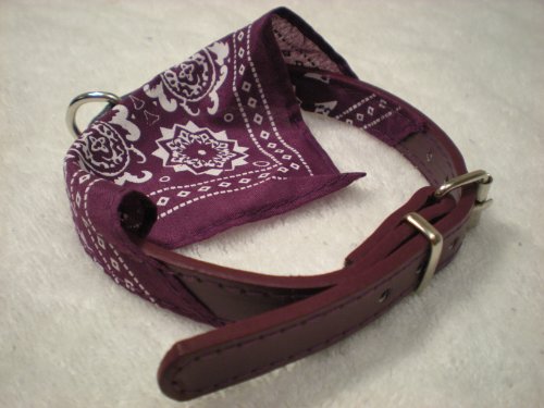 Dog Collar Bandana Purple Medium 15 Inches