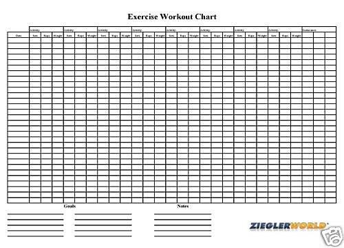 HUGE 22 x 34 Laminated Reusable Exercise Workout Wall Chart Planner & Tracking - Track Your Progress + Dry Erase Pen