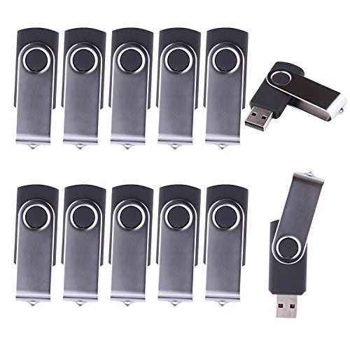 LHN® (Bulk 10 Pack) 2GB Swivel USB Flash Drive USB 2.0 Memory Stick (Black)
