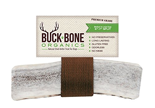 100% Natural Shed Grade A Elk Antler Dog Chew Treats ~ Large Split for a Softer Chew, Odor-Free, Gluten Free and Healthy, Single Ingredient Made in the USA, Satisfaction Guaranteed